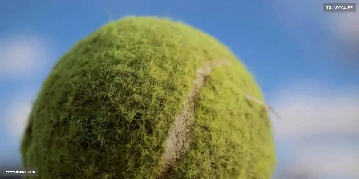 火狐电竞瑜伽垫上的呼吸,是给身体的温柔对话!🧘